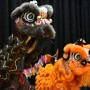2024 Lunar New Year Festival-the year of the dragon!